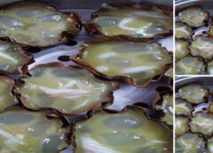 แจกสูตรทำ “ขนมเข่งมะพร้าวอ่อนลูกชิด” แป้งนุ่มเหนียว ทำง่าย หอมอร่อยกลมกล่อม